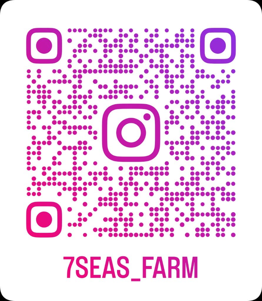 7SEAS Farm Instagram QR